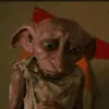 Avatar muninm