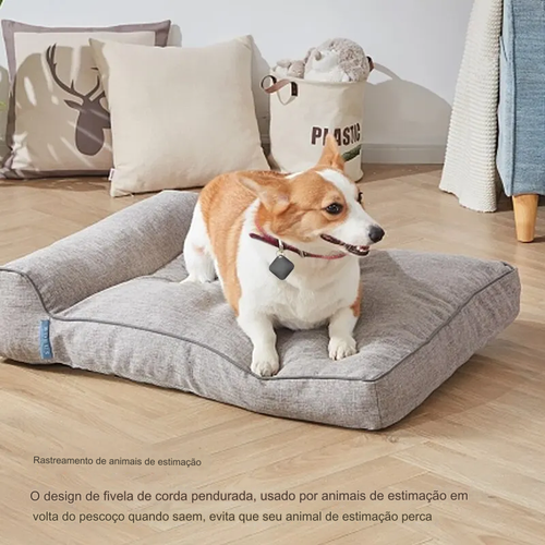 Imagem do comentário