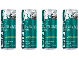Bebida Energética Red Bull The Summer Edition | Kit 4 unidades