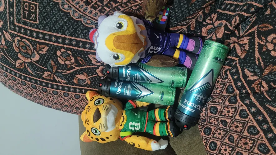 Imagem do comentário