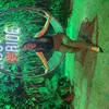 Avatar loboguaradooutlet2891