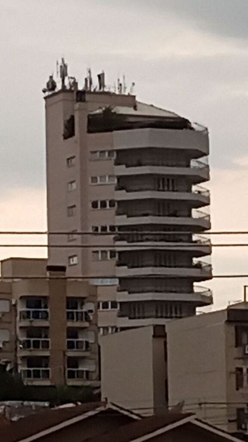 7300497.jpg