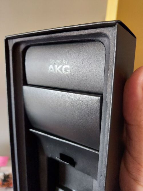 5595780.jpg