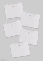 Kit Com 5 Camisetas Masculinas Básicas Hering 