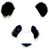 Avatar itkairon_