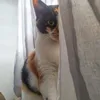 Avatar karla.saraiva