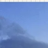 Avatar wgnr_lrnc