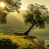 Avatar llg_77