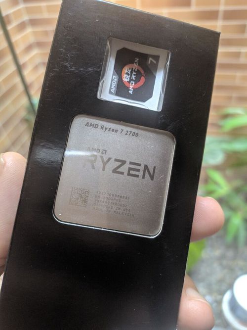 5251038.jpg