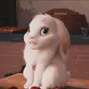 Avatar palomita