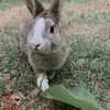 barbaracristiny