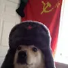 Avatar communi