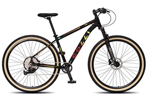 Bicicleta Colli Allure Aro 29 12V Freio Hidráulico