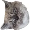 Avatar appaneitor