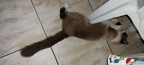 6256810-Ky85t.jpg