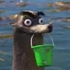 Avatar gustavp