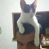 Avatar leov_dudu