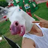 Avatar nunk4topx1