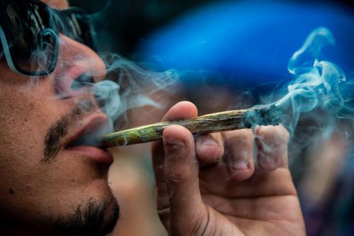 cheiro-de-maconha-maryjuana.jpg