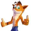 Avatar crashlipe