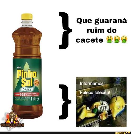Imagem do comentário