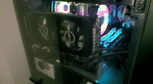 WhatsApp-Video-2022-06-05-at-15.02.57.gif