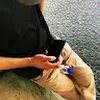 Avatar raposonaopegue