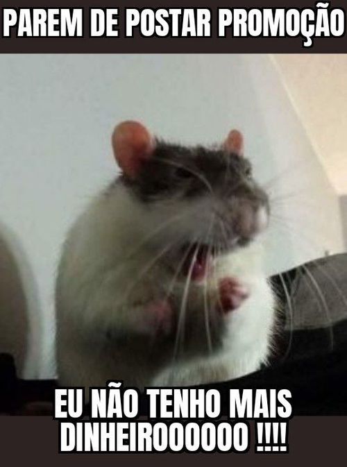 5828270-juRyz.jpg