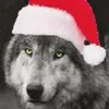 Avatar wolf.