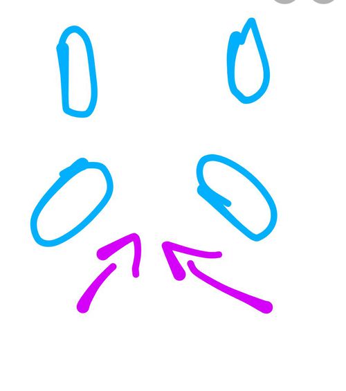 6360202.jpg