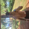 Avatar william_ribeiro