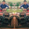Avatar wesley_vicente