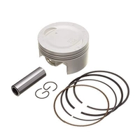 Pistão Kit C/Anel Rik Premium Fazer 250 0.75