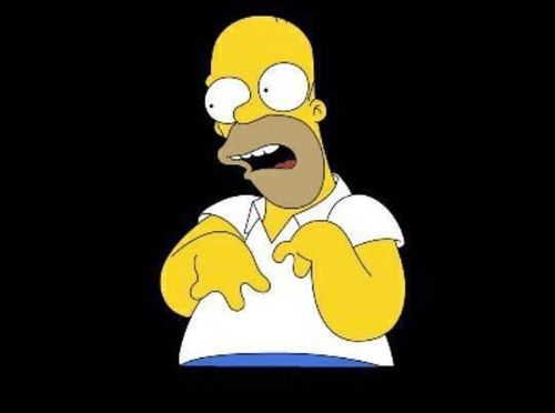 homer.jpg