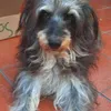 Avatar lilimiu