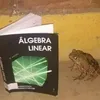 Avatar bruno_lorenzo