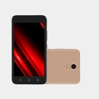 Smartphone Multilaser e Pro 4G 32Gb Wi-Fi 5.0 Pol. Dual Chip 1Gb Ram C