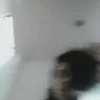 Avatar gustavo_isvetcoff