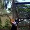 Avatar nadiaoliveira_ndjz