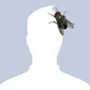 Avatar rennan_regis