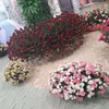 Avatar gaa_rim