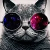 Avatar eduardo_souzarnu