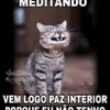 Avatar andreia.mercadante