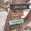 Avatar frose