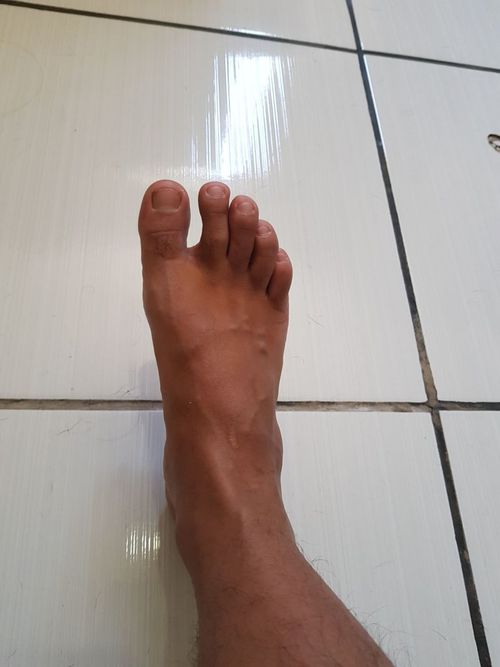 3597102.jpg