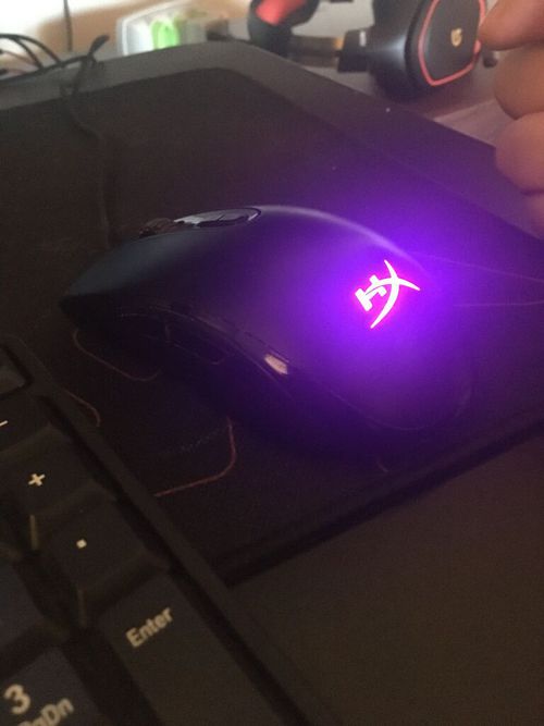 5295352.jpg