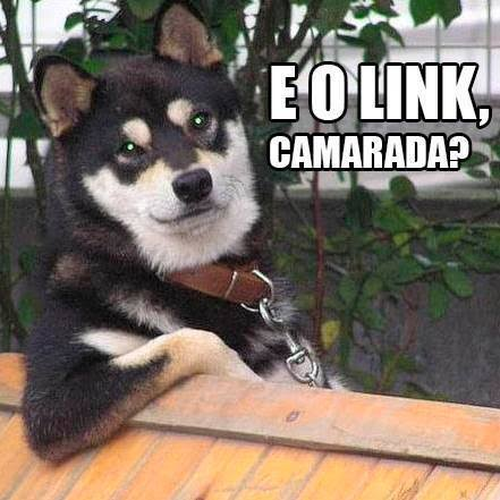 Imagem do comentário