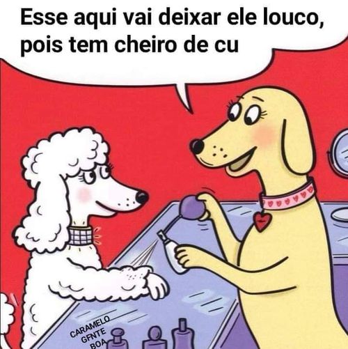 Imagem do comentário