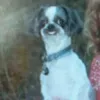 Avatar nicsoba