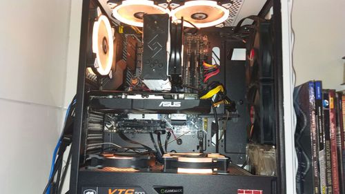 6360606-Tpugs.jpg